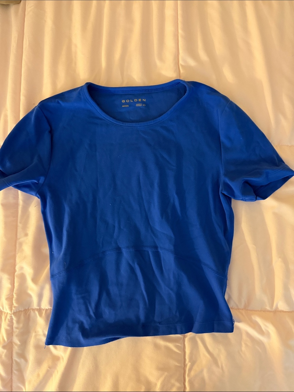 Aritzia Royal Blue Short Sleeve Crewneck Top